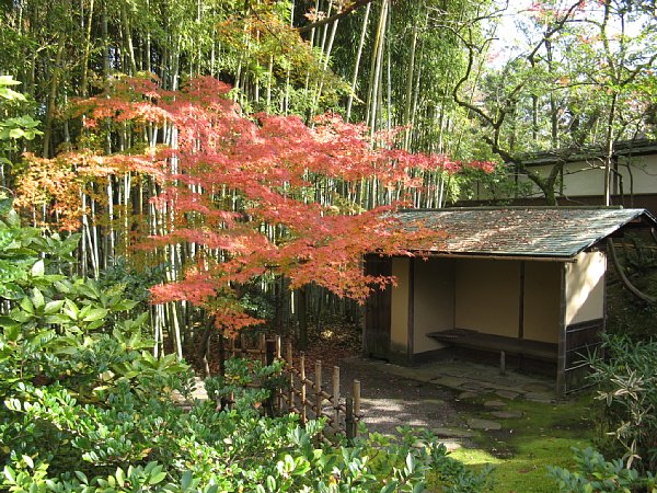 茶室 竹隠脇の紅葉