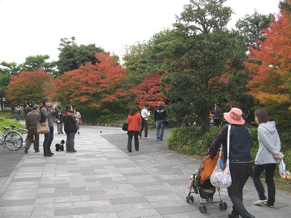 平等院1