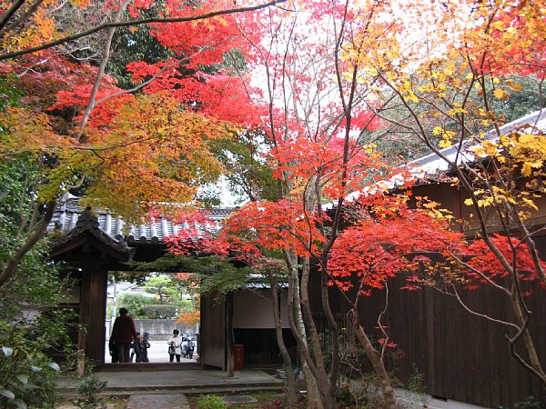 山門の紅葉