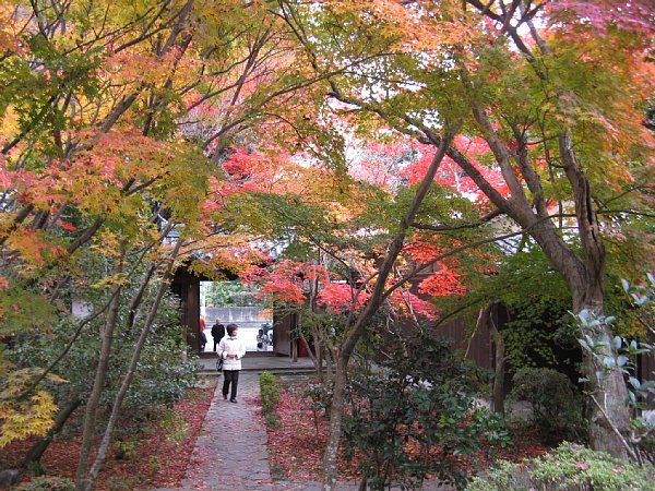山門の紅葉