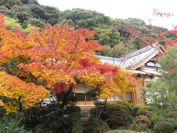 境内の紅葉