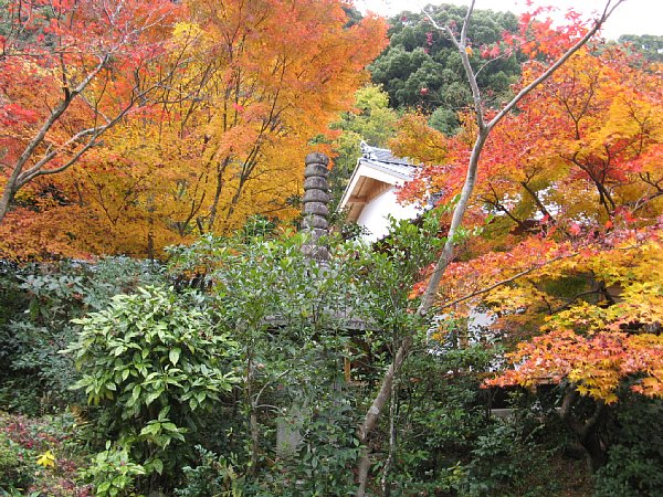 境内の紅葉
