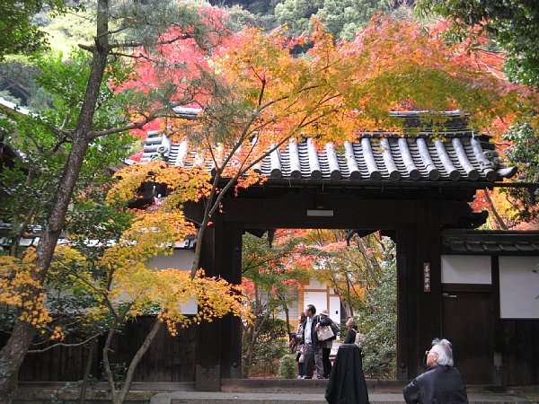 善法律寺山門