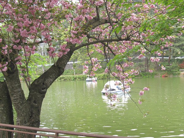 臥竜公園