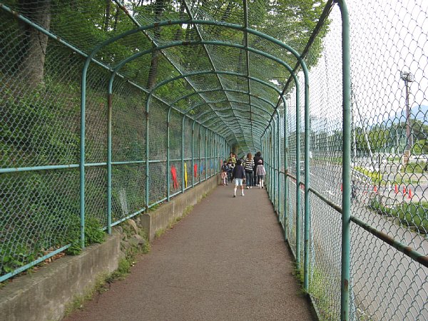 南園への通路