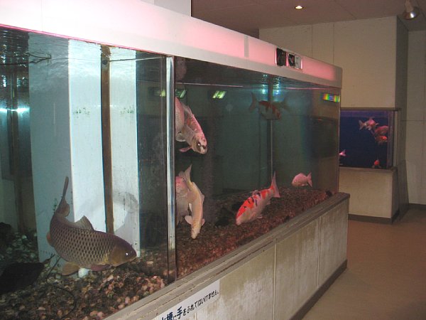 水族館内部