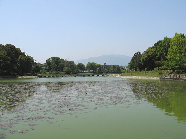 深田池