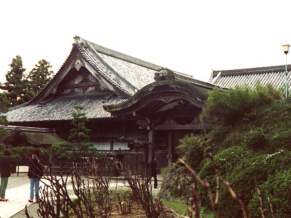 本防