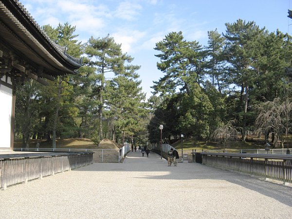 東金堂と五重塔の間の道