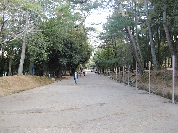 春日大社参道