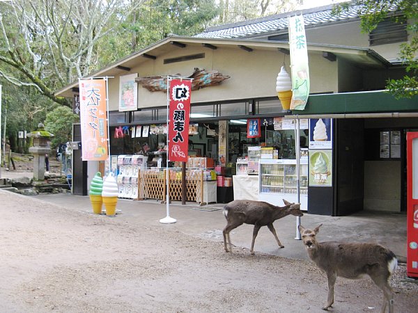 お土産屋