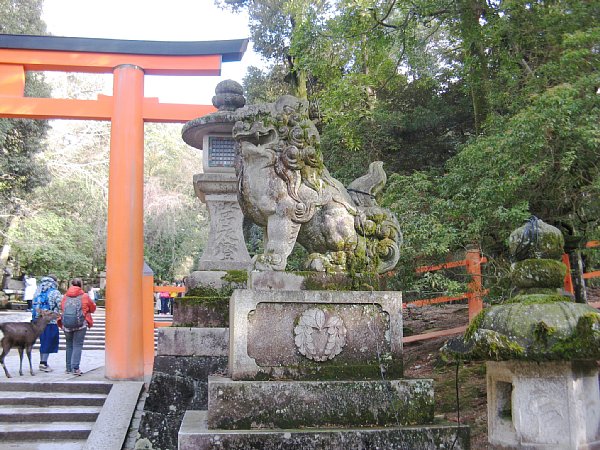 狛犬(阿形)