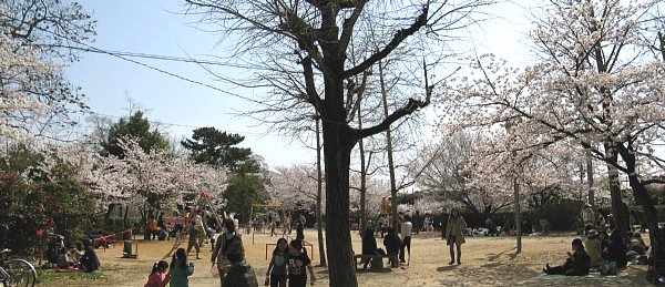 西公園・薪曲輪跡