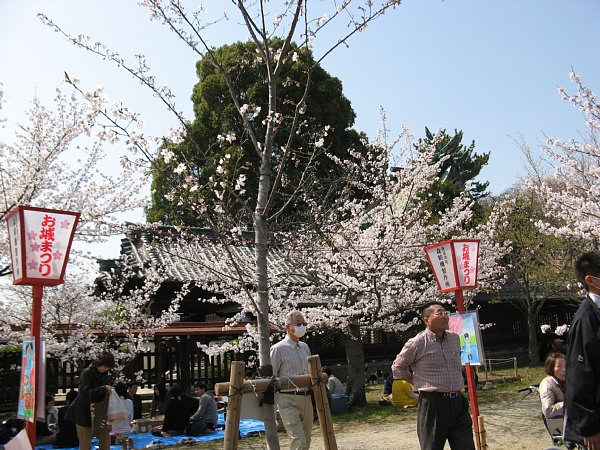 柳澤神社横