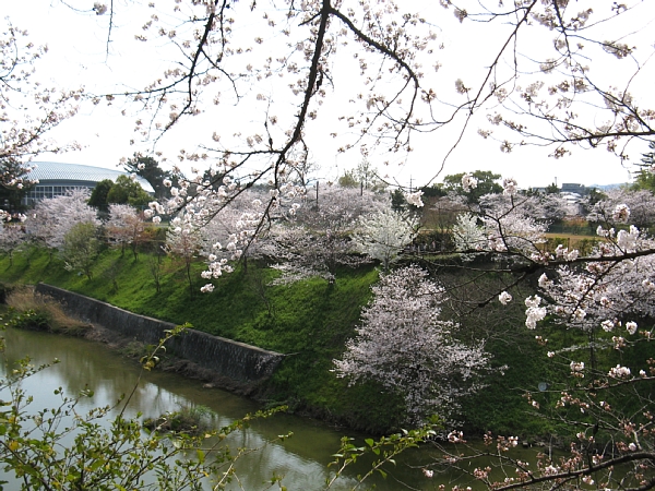 厩曲輪跡