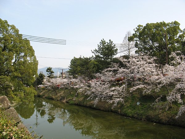 堀対岸の屋台の通り