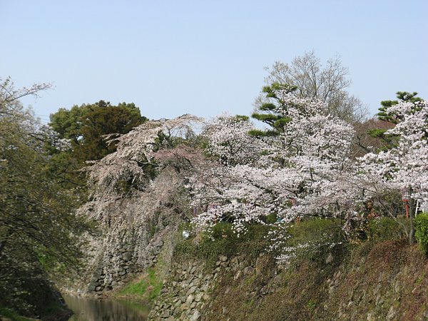 毘沙門曲輪跡