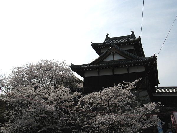 追手向櫓
