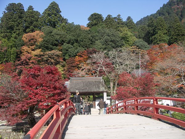 表門(太鼓橋から)