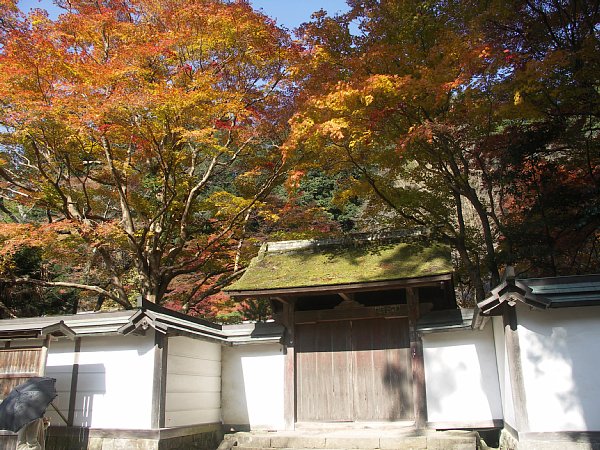 赤門