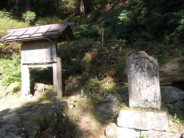 天然記念物シダ群落の説明書き