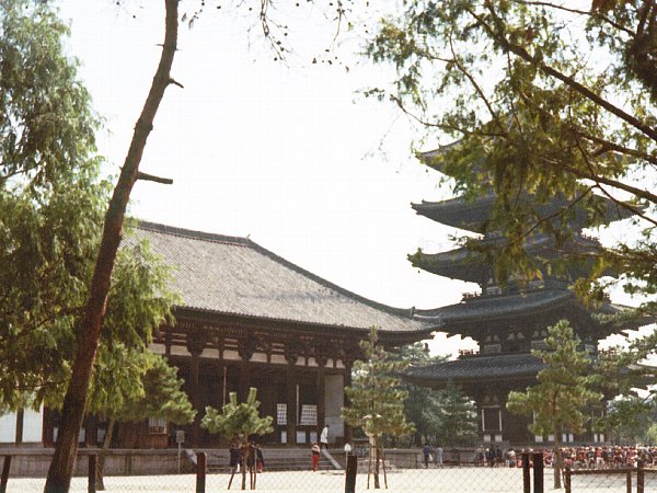 東金堂と五重塔