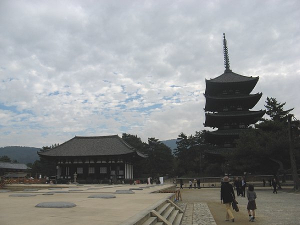 興福寺東金堂と五重塔