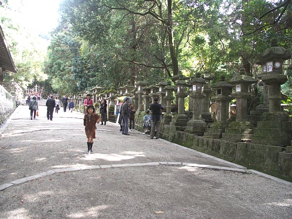 春日大社参道