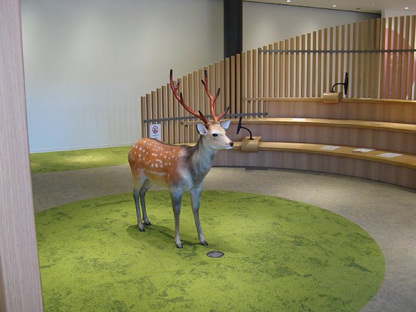 奈良公園バスターミナル 撮影スポット