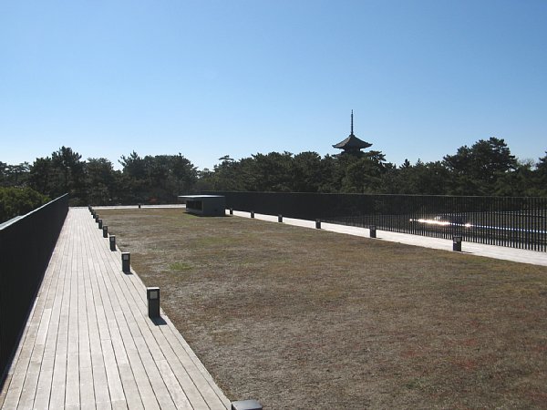 奈良公園バスターミナル 西棟屋上