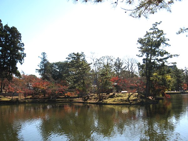 鏡池 紅葉