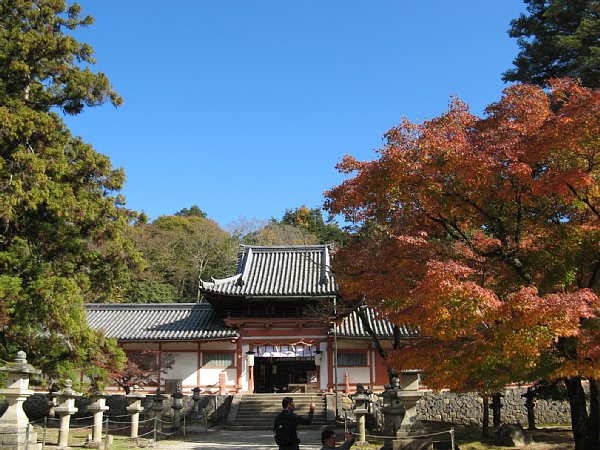 手向山八幡宮の紅葉