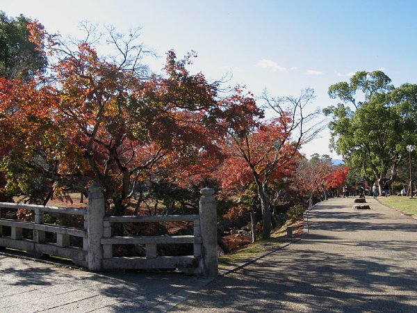 吉城川の紅葉