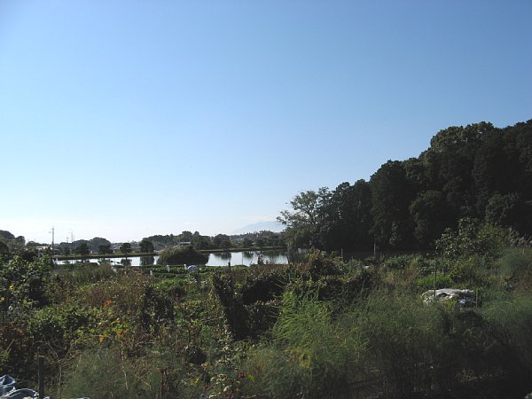 田道間守の墓