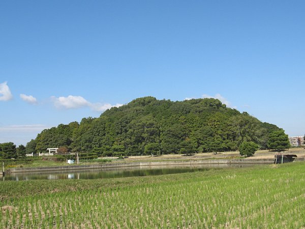 南側より全景
