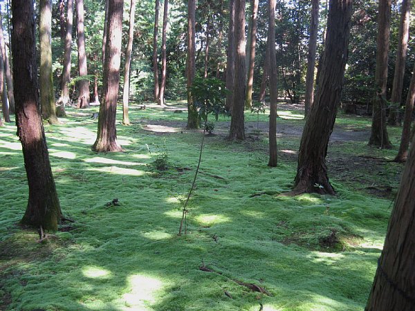 鑑真和上御廟の庭