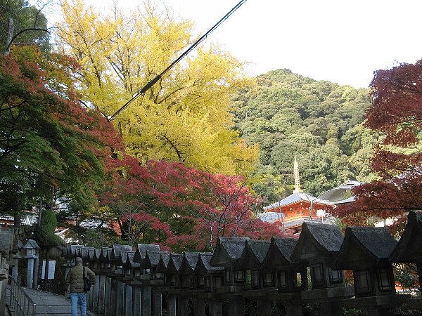 参道その3
