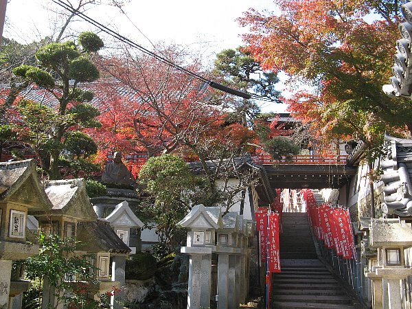 玉蔵院への参道