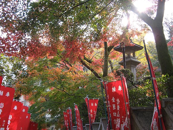 参道の紅葉