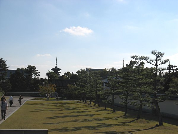玄奘三蔵院から見た薬師寺