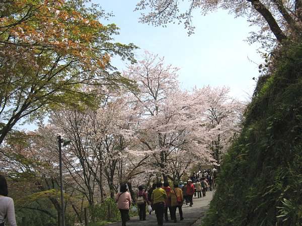 同じく下千本