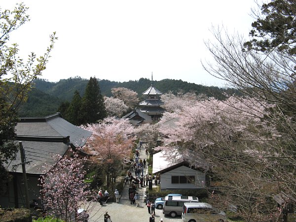 吉野朝宮跡