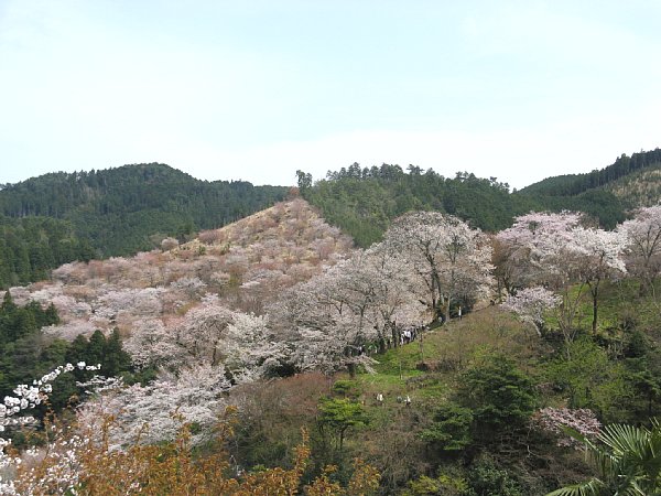 上千本