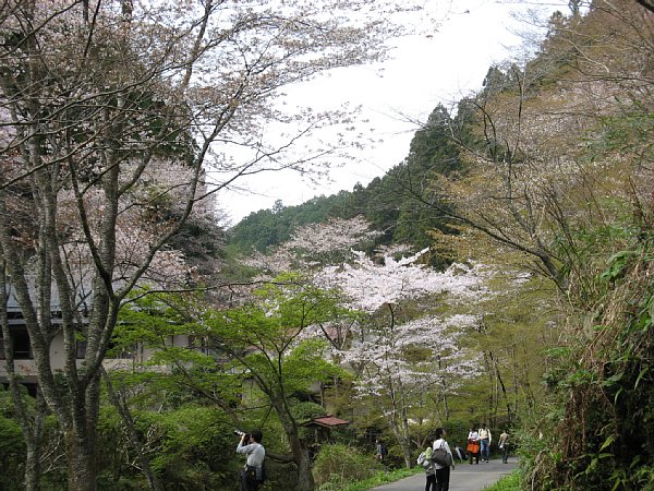 吉野温泉