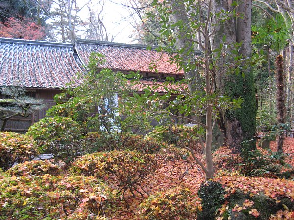 蜜蔵院