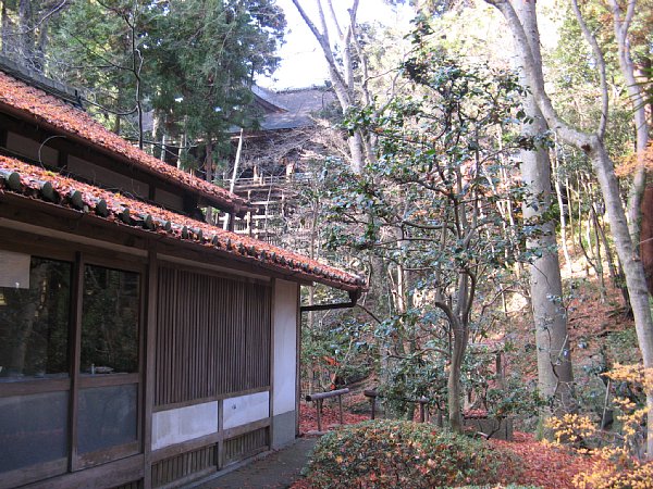 同じく蜜蔵院